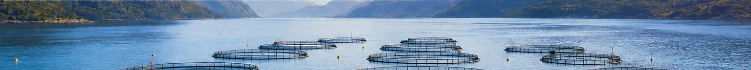 Salmon aquaculture farms in a Chilean fjord