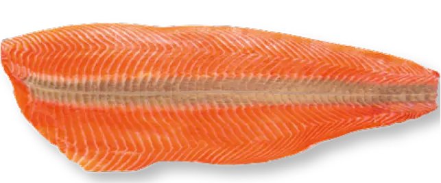 Atlantic salmon fillet Trim E