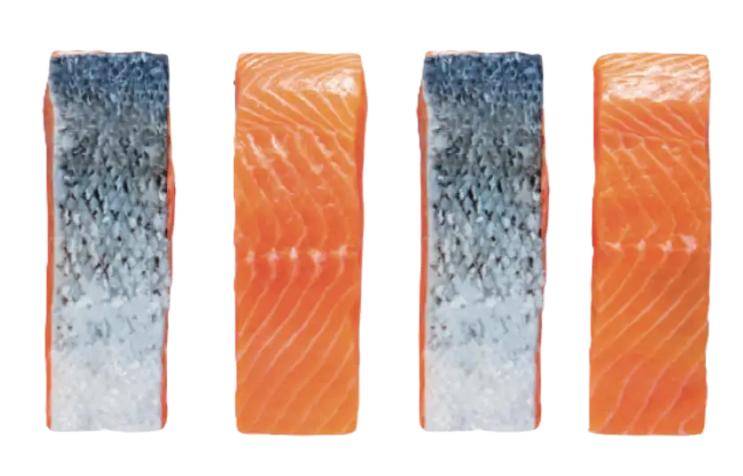Frozen skin-on Atlantic salmon portions