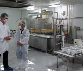 Goat cheese production plant in Chile